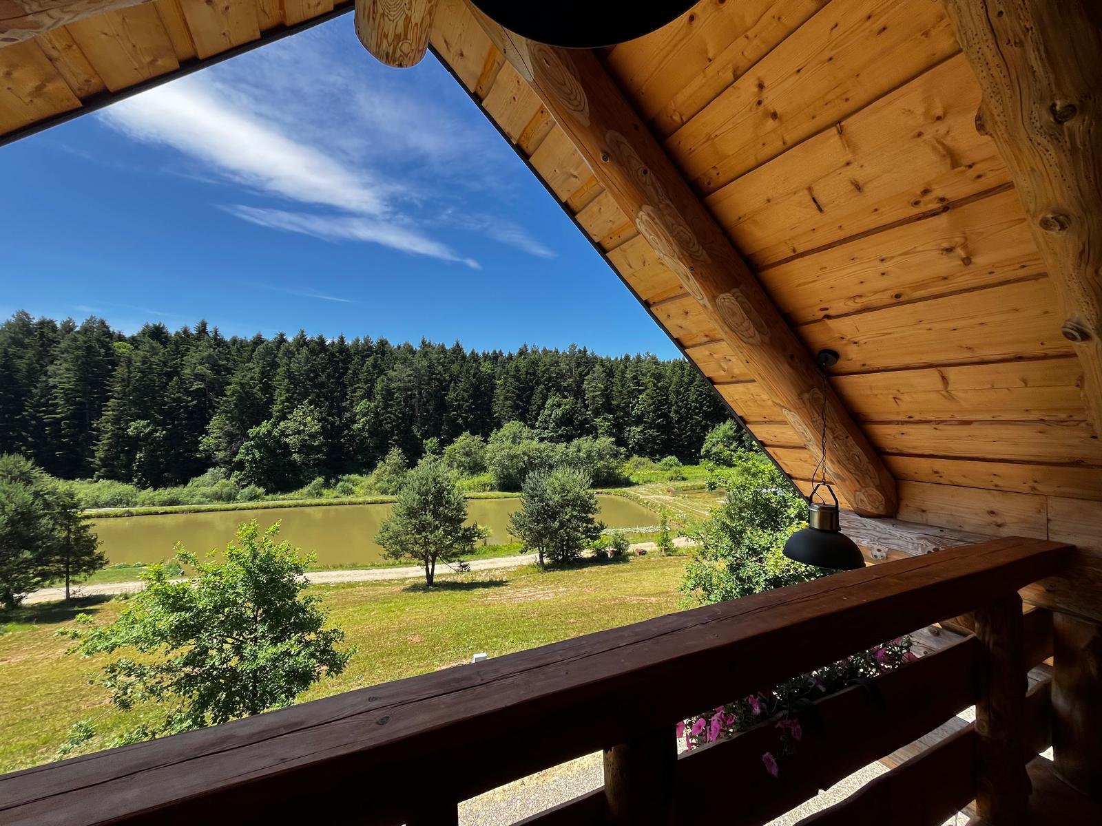 Architectonisch A-frame vakantiehuis met panoramische ramen